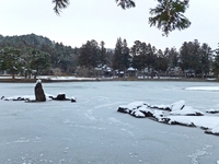Medium_庭園 (1)